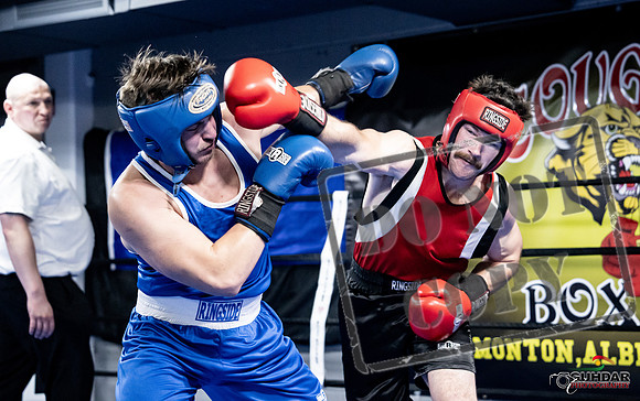 Cougar Boxing -0566