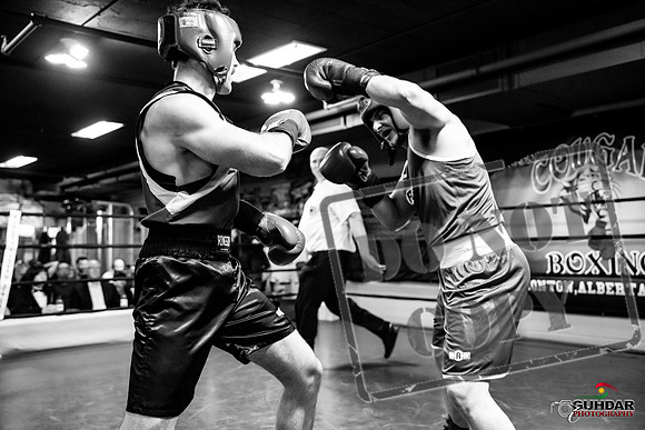 Cougar Boxing -0571