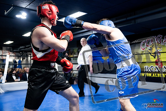 Cougar Boxing -0572