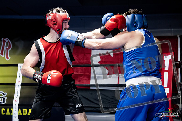 Cougar Boxing -0574