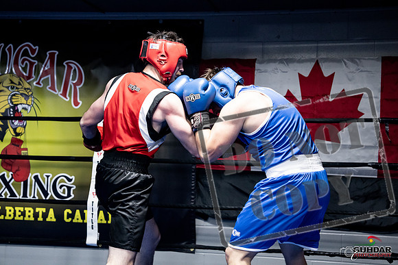 Cougar Boxing -0573