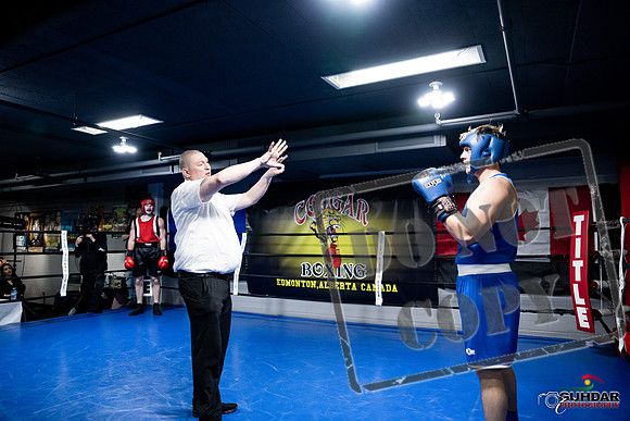 Cougar Boxing -0575
