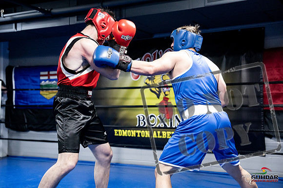 Cougar Boxing -0576