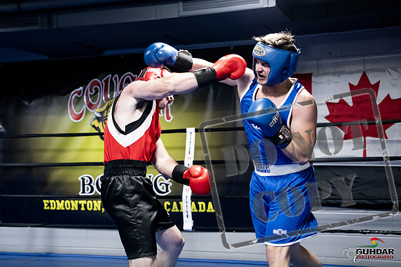 Cougar Boxing -0577