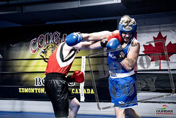 Cougar Boxing -0578