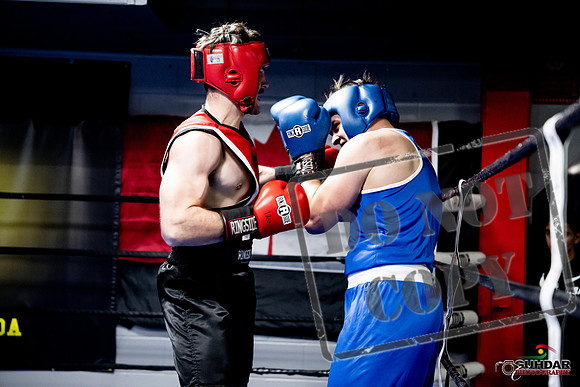 Cougar Boxing -0579