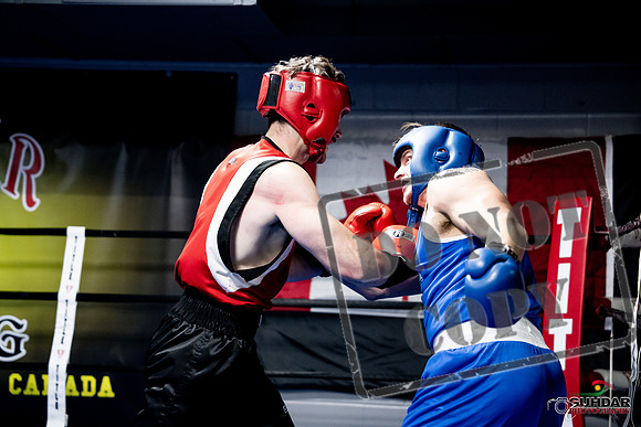 Cougar Boxing -0580