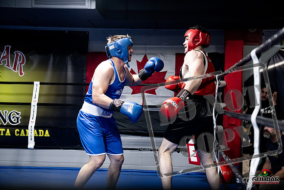Cougar Boxing -0582