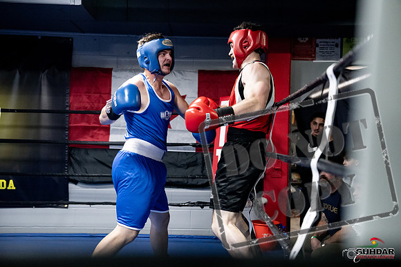 Cougar Boxing -0583