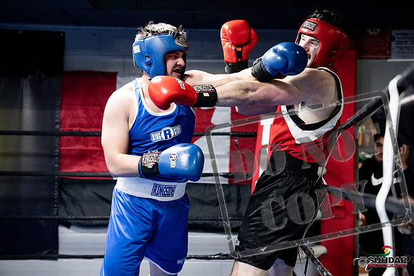 Cougar Boxing -0585