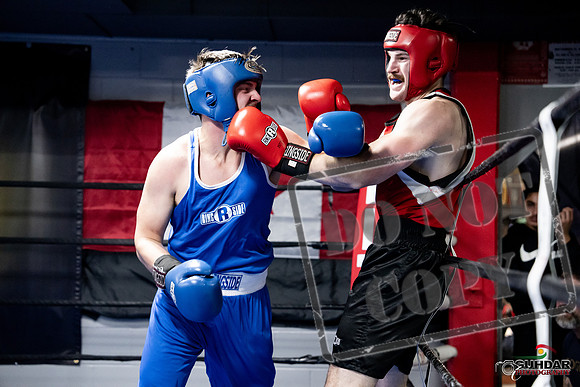 Cougar Boxing -0586