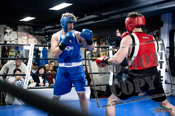 Cougar Boxing -0588