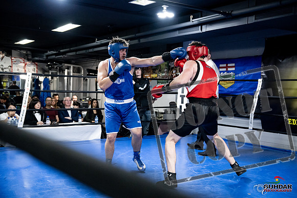 Cougar Boxing -0589