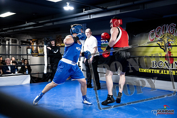Cougar Boxing -0590