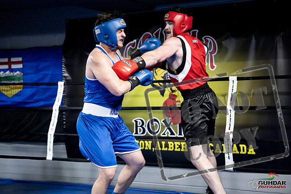 Cougar Boxing -0591