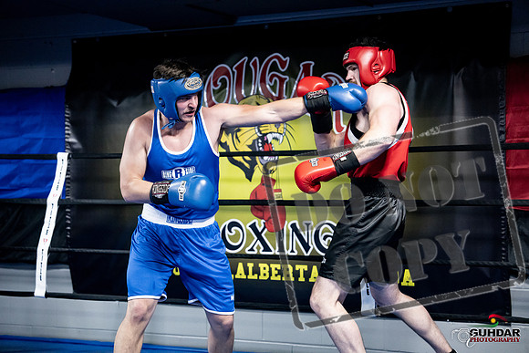 Cougar Boxing -0592