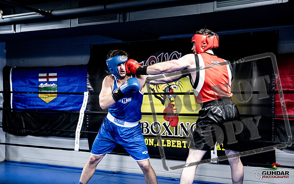 Cougar Boxing -0593