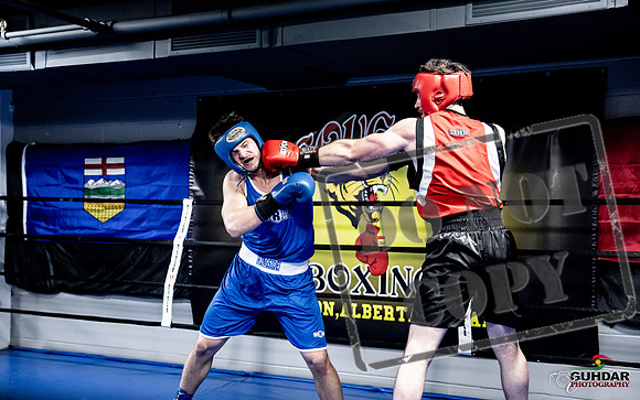 Cougar Boxing -0594