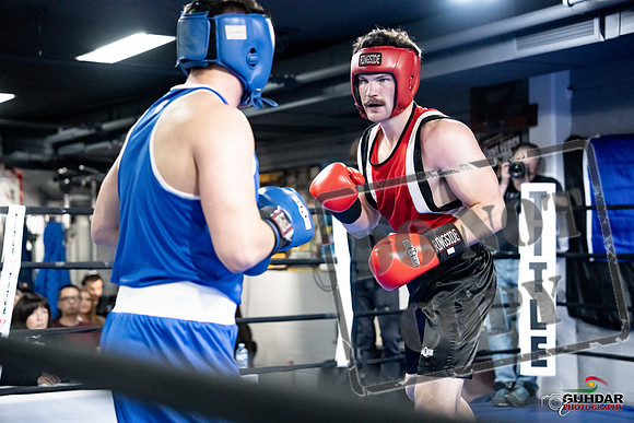 Cougar Boxing -0598