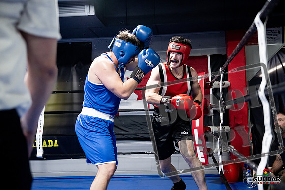 Cougar Boxing -0600