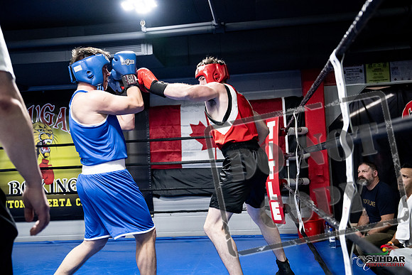 Cougar Boxing -0602
