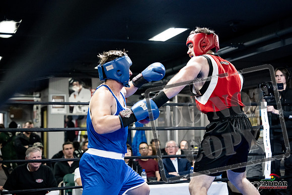 Cougar Boxing -0604