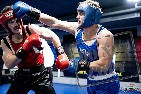 Cougar Boxing -0605