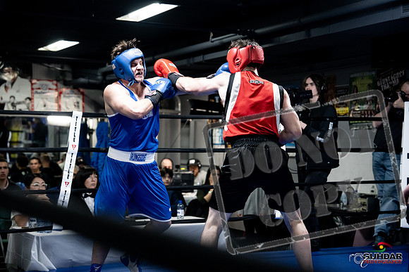 Cougar Boxing -0606