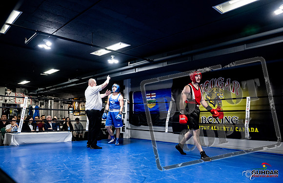 Cougar Boxing -0607