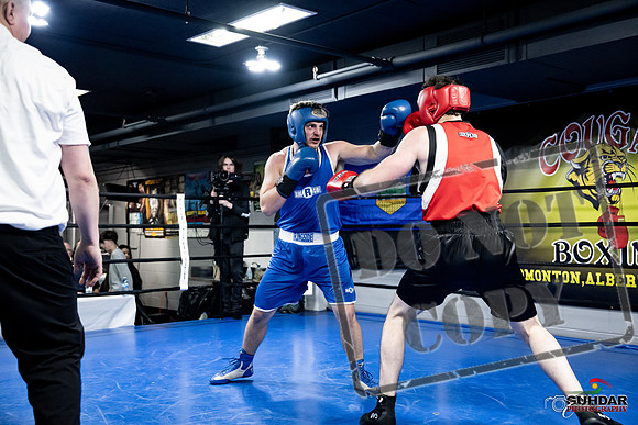 Cougar Boxing -0608