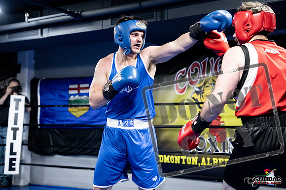 Cougar Boxing -0609