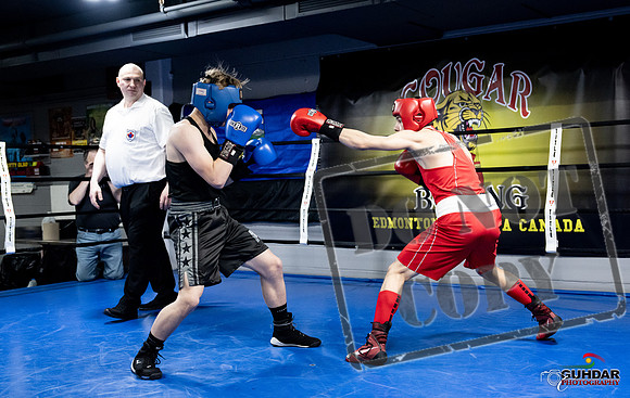 Cougar Boxing -0615