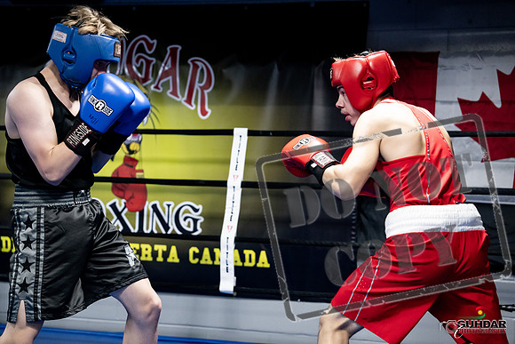 Cougar Boxing -0617
