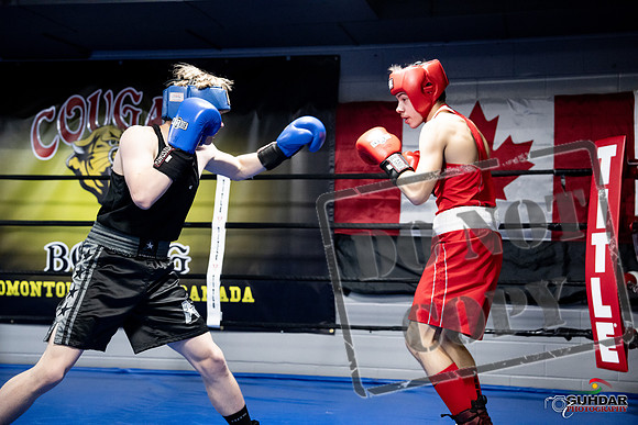 Cougar Boxing -0618