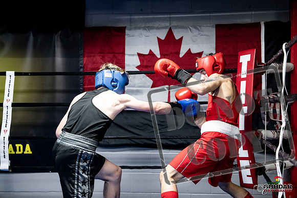 Cougar Boxing -0619