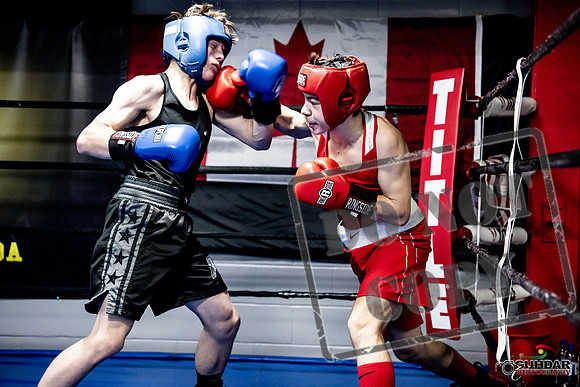 Cougar Boxing -0620