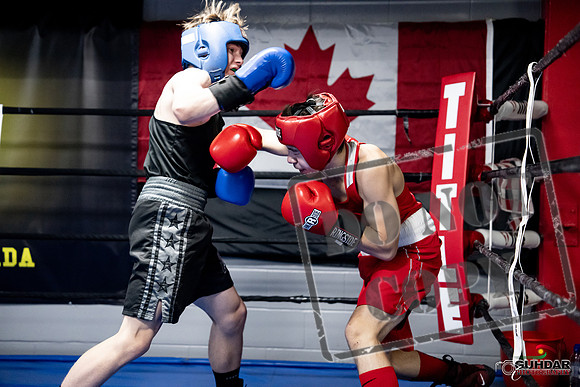 Cougar Boxing -0621