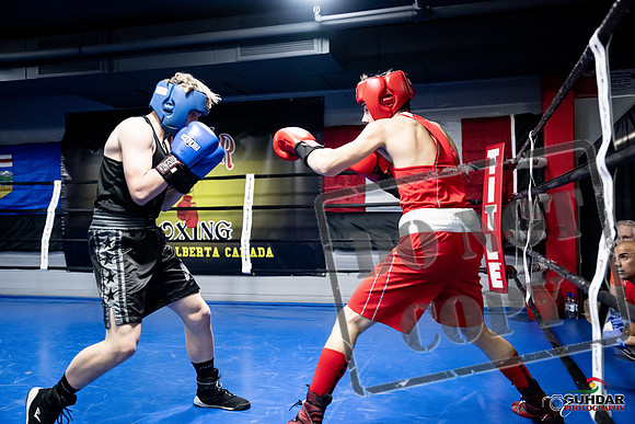 Cougar Boxing -0622