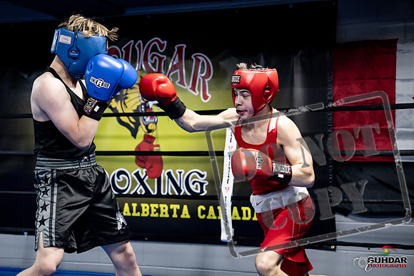 Cougar Boxing -0627