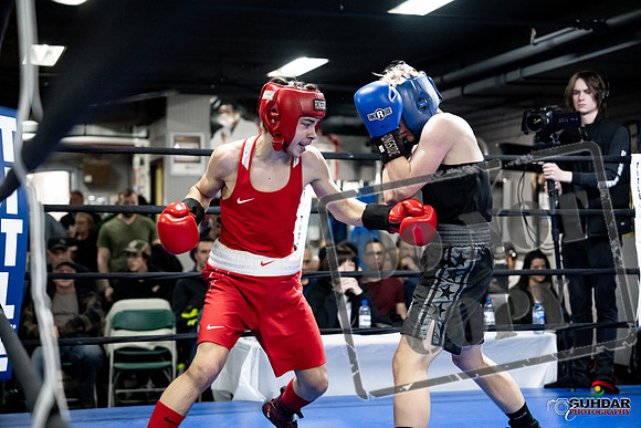Cougar Boxing -0631