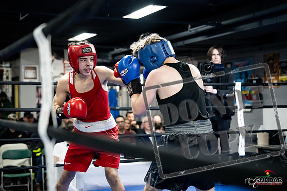 Cougar Boxing -0632