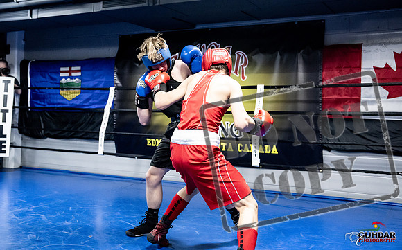 Cougar Boxing -0633