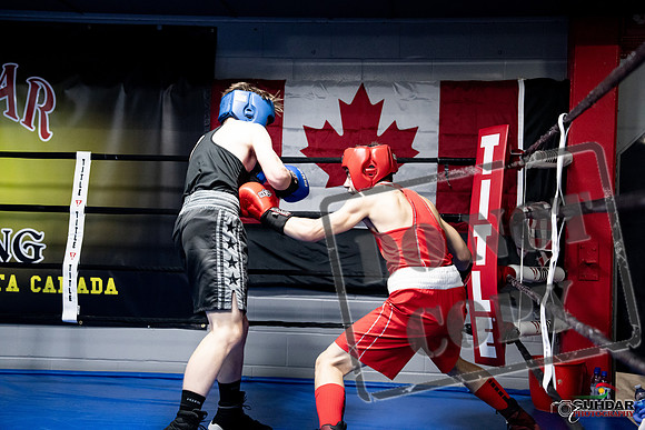 Cougar Boxing -0635