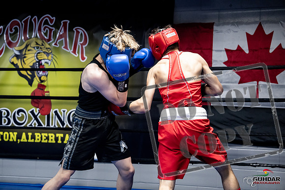 Cougar Boxing -0637