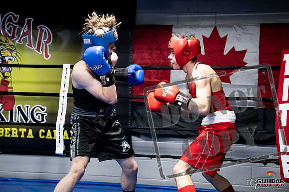 Cougar Boxing -0636