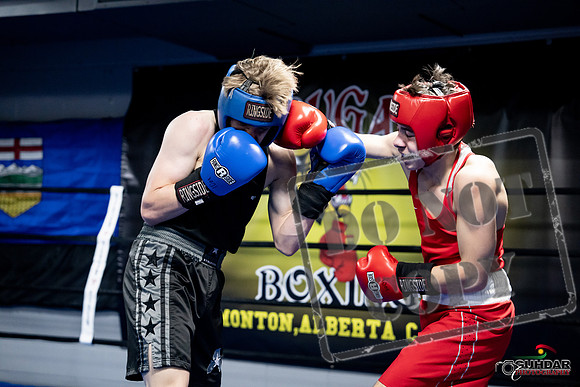 Cougar Boxing -0639