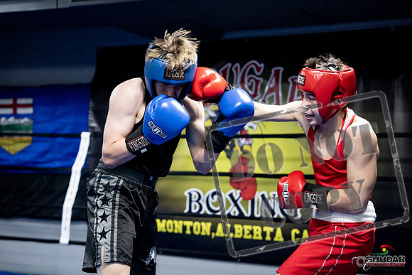 Cougar Boxing -0640