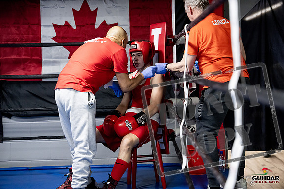 Cougar Boxing -0641