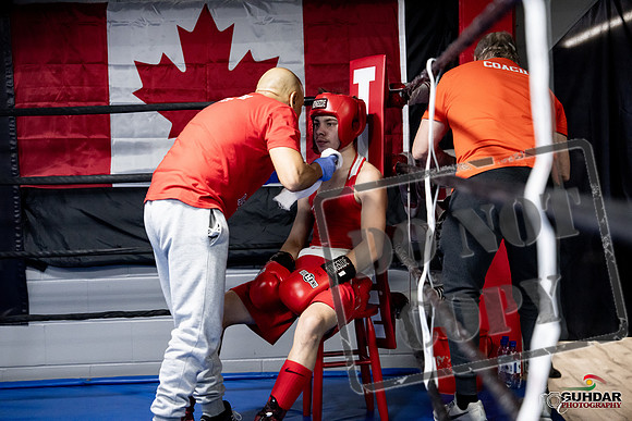 Cougar Boxing -0642