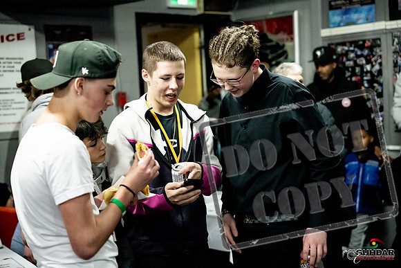Cougar Boxing -0643